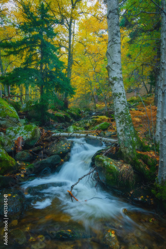 River waterfall landscape in autumn forest with orange and yellowish leaves of the trees at Guadarrama national park, Lozoya river, Spain © Ricardo MzF .com 