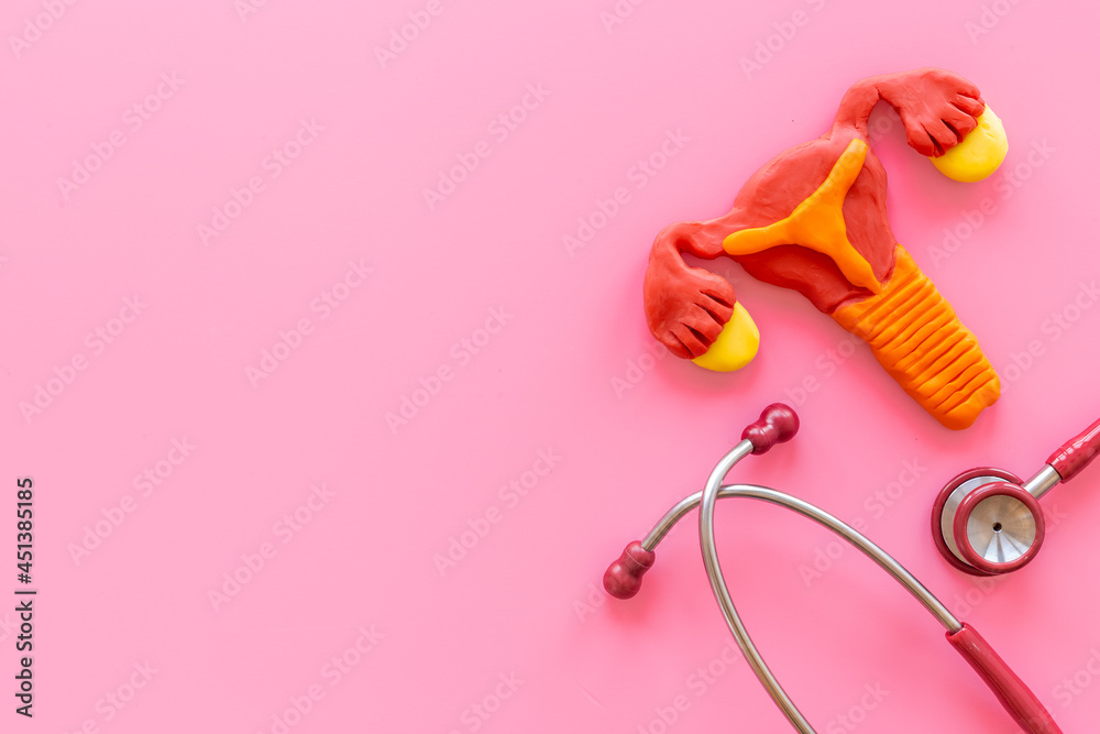 Female uterus and ovaries model - health reproductive system Female uterus and ovaries model - health reproductive system
