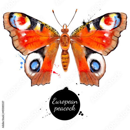 Watercolor illustration of butterfly Aglais i, European peacock. Vector painted isolated tropical wild nature insect on white background