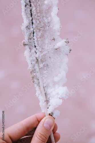 Close up seagull feather with salt crystals on it. Feather in the hand on the pink lake background. Close up salt grain crystals on the bird feather.