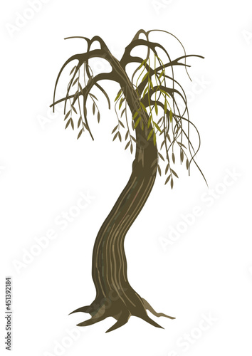 Dry Weeping Willow tree.
Colorful Illustration of melancholy dry tree motive. Isolated on white background. Vector available.