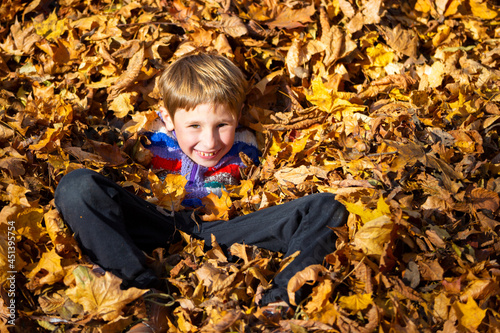 Happy little boy in a pile of yellow leaves in the autumn park.