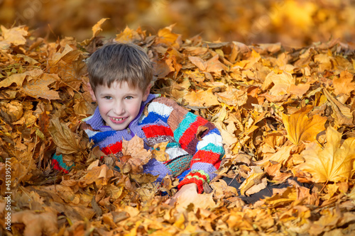 Happy little boy in a pile of yellow leaves in the autumn park.