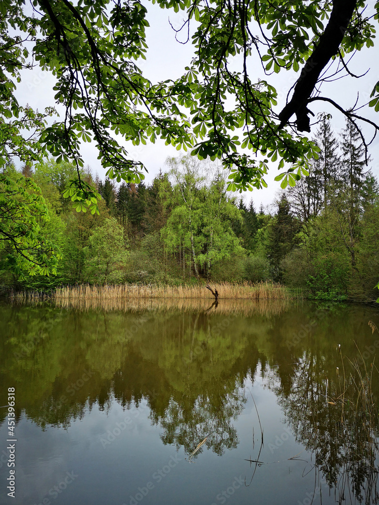 Unterwegs im Bärenbachtal bei Wolfsburg-Unkeroda Unterwegs im Bärenbachtal bei Wolfsburg-Unkeroda