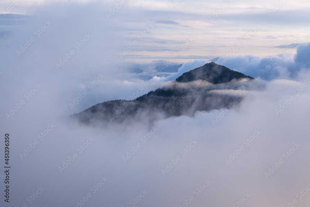 Mountains peak covered the early morning fog. Summer landscape. Beautiful sky and clouds. Natural landscape. Forest of the pine trees. A place to relax in Carpathian Park, Ukraine, Europe.