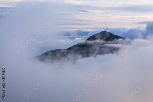 Mountains peak covered the early morning fog. Summer landscape. Beautiful sky and clouds. Natural landscape. Forest of the pine trees. A place to relax in Carpathian Park  Ukraine  Europe.
