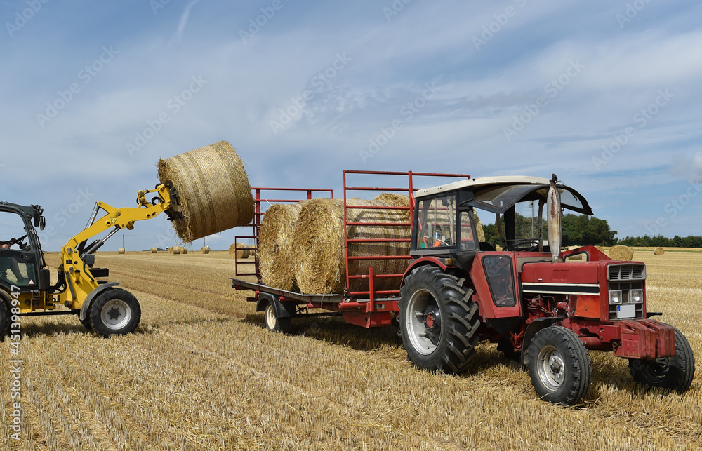 Fototapeta premium Rundballen werden verladen 