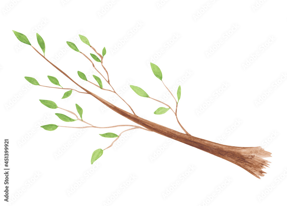 Watercolor branch of a tree with green leaves isolated on a white background. hand-drawn forest object. Cute plant illustration. Herbal clipart. Watercolor branch of a tree with green leaves isolated on a white background. hand-drawn forest object. Cute plant illustration. Herbal clipart.