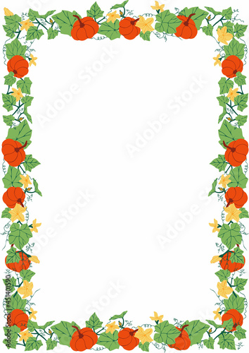 Rectangular frame with pumpkins  flowers and leaves. Botanical background with pumpkin plant. Template for greeting card  invitation or postcard. Vector illustration