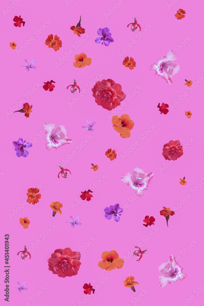A background of colorful flowers. The concept of nature. A background of colorful flowers. The concept of nature.