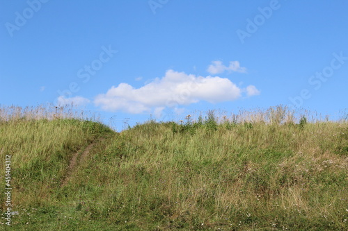 grass and sky