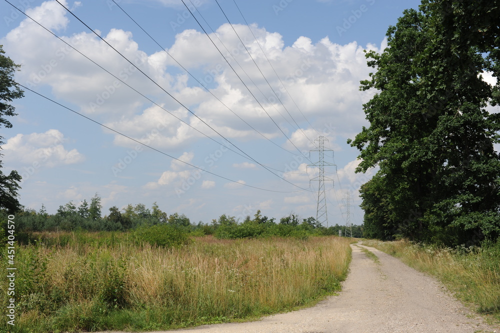 Dirt gravel forest road in Europe on a sunny day in summer with blue sky and clouds