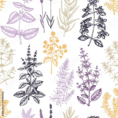 Traditional Provence herbs background. Savory, marjoram, rosemary, thyme, oregano, lavender seamless pattern. Hand-sketched kitchen and aromatic herbs for candle or soap making, cosmetics, perfumery