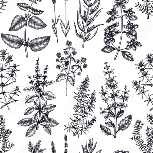 Traditional Provence herbs background. Savory, marjoram, rosemary, thyme, oregano, lavender seamless pattern. Hand-sketched kitchen and aromatic herbs for candle or soap making, cosmetics, perfumery