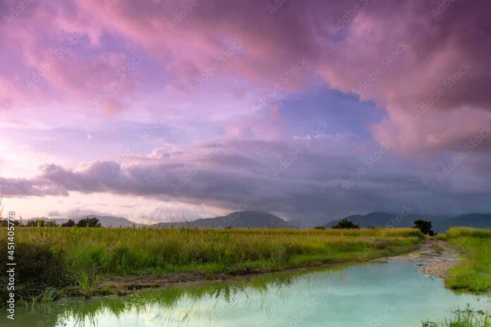A stormy pink sunset overlooking rice fields in the Caribbean.  A dirt road and puddle leading into a field at dusk, Tropical landscape and storm clouds