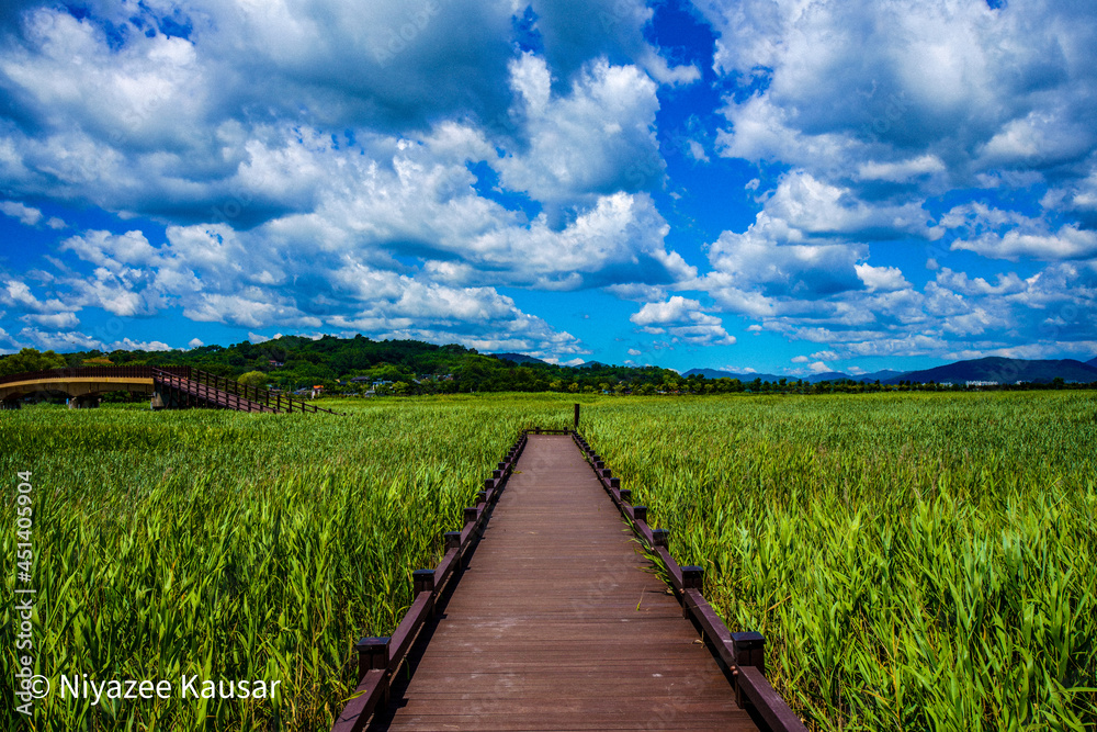 Beautiful Evening Sky with Bridge on Suncheon Wetlands