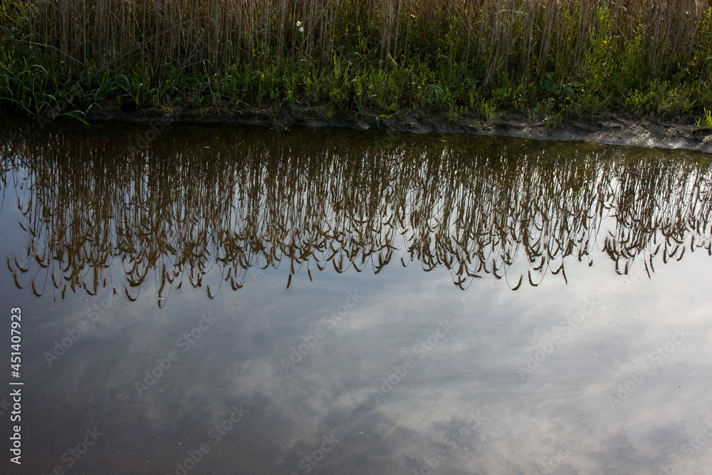 Outskirts of Grodno, Belarus. The edge of the field is overgrown with grass, a large puddle on a country road and the reflection of field ears and a blue sky with clouds in it. Outskirts of Grodno, Belarus. The edge of the field is overgrown with grass, a large puddle on a country road and the reflection of field ears and a blue sky with clouds in it.