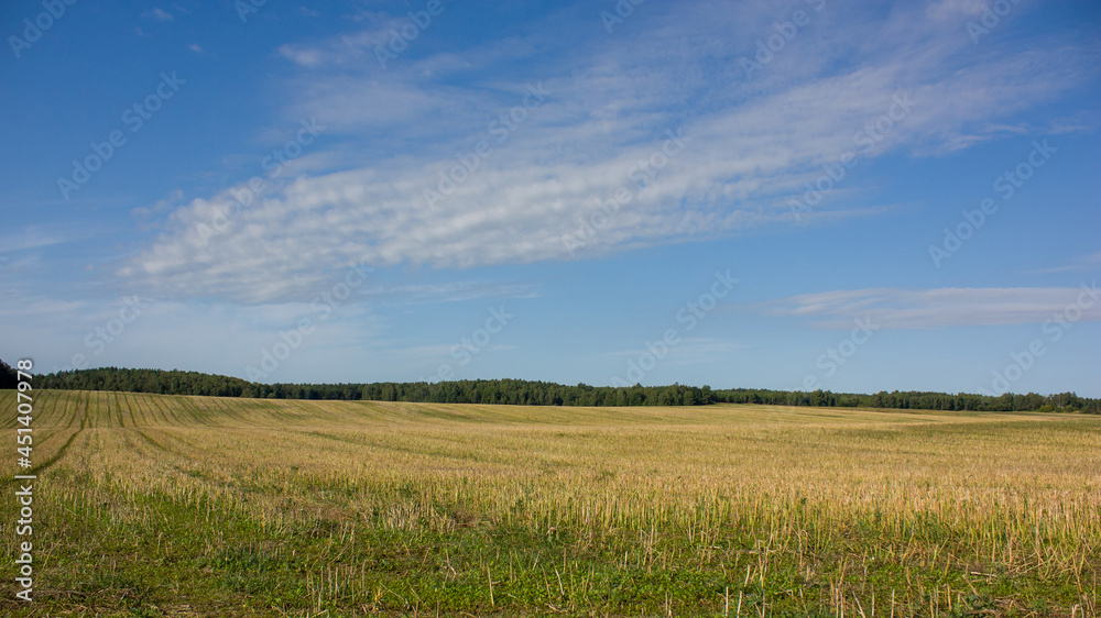 Outskirts of Grodno, Belarus. Summer landscape. A sloping hilly field against a blue sky with white clouds, in the distance - a forest. Outskirts of Grodno, Belarus. Summer landscape. A sloping hilly field against a blue sky with white clouds, in the distance - a forest.