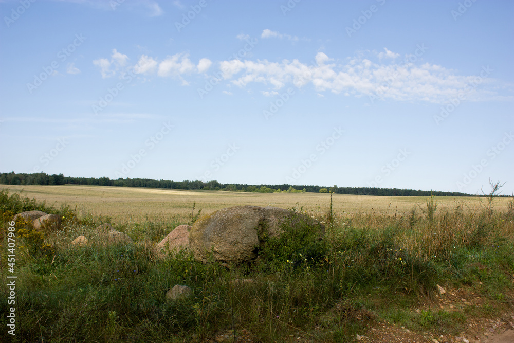 Outskirts of Grodno, Belarus. Summer landscape. A large old stone surrounded by wildflowers and grass at the edge of a country road, a mown field against a blue sky, a forest in the distance.