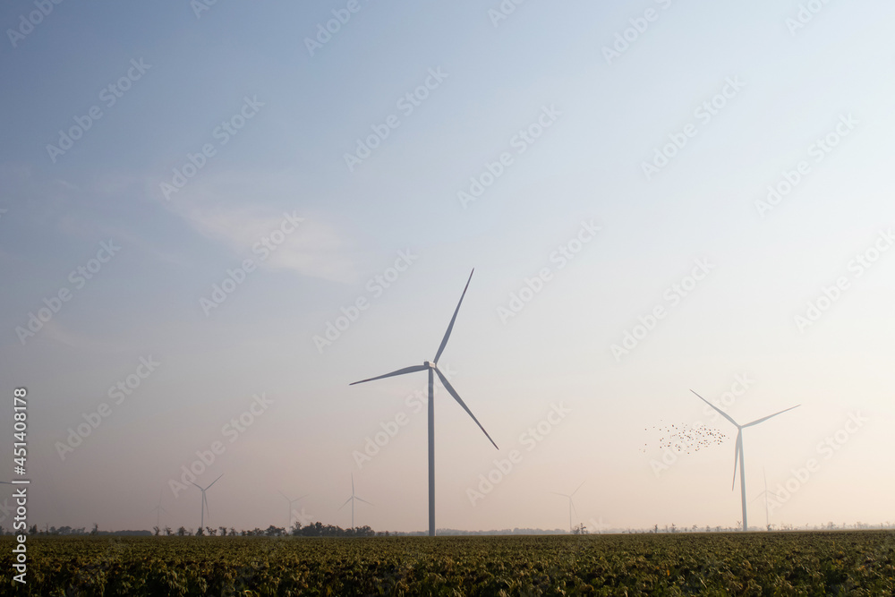 Windmills in the fog near a field of sunflowers. Early morning. See the movement of the blades, as a strong wind is blowing. Wind turbine are installed at different distances and hidden in the fog