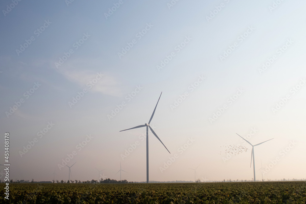 Windmills in the fog near a field of sunflowers. Early morning. See the movement of the blades, as a strong wind is blowing. Wind turbine are installed at different distances and hidden in the fog Windmills in the fog near a field of sunflowers. Early morning. See the movement of the blades, as a strong wind is blowing. Wind turbine are installed at different distances and hidden in the fog