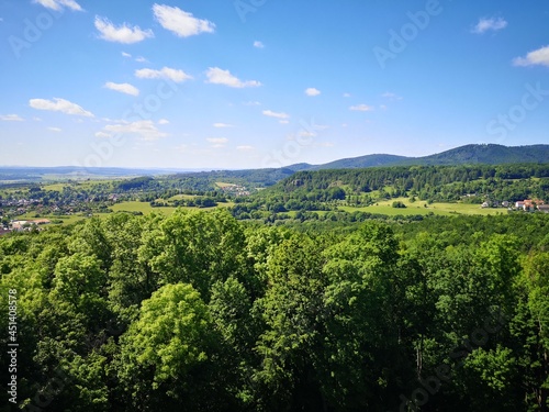 Blick von der Burg Liebenstein in den Th  ringer Wald 