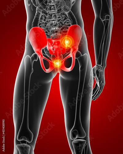 illustration of human pelvis