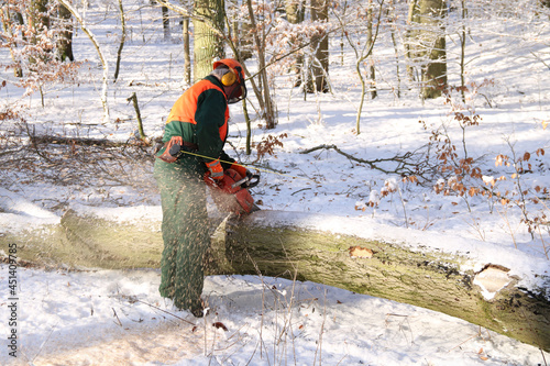 Holzfäller mit Kettensäge bei der Arbeit im Winter