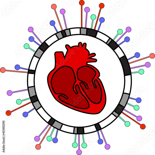 Genome-wide association study of heart related conditions