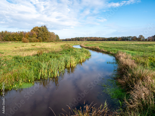 Meandering river Reest, border Drenthe and Overijssel in nature reserve Reestdal near Oud-Avereest, Netherlands
