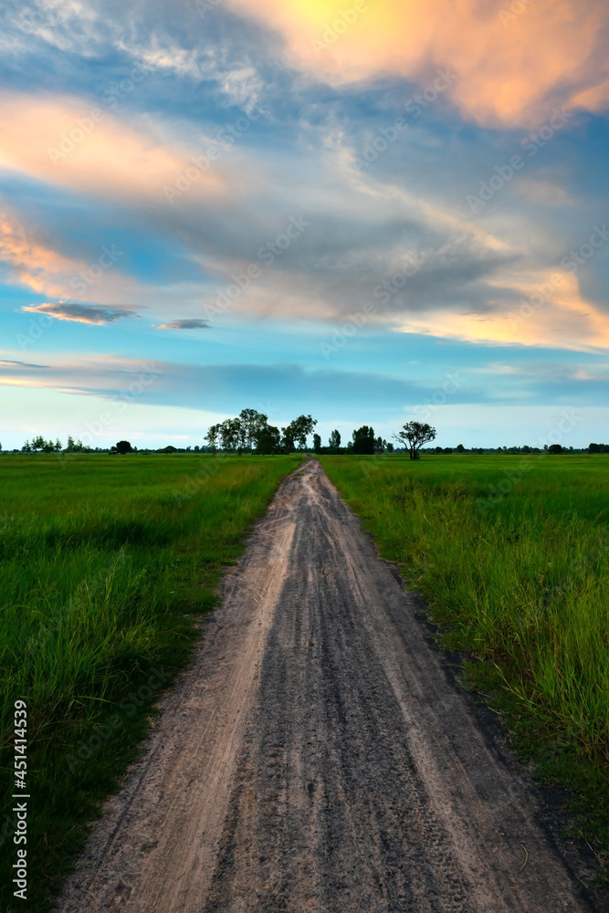 Obraz premium Vertical photo sunset cloud over road and rice field in Thailand.blue sky with clouds.Fiery orange sunset sky. Beautiful sky.Sunrise with cloud over rice field.
