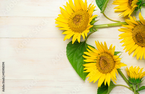 Yellow sunflowers, green leaves on white wooden background top view copy space. Beautiful fresh sunflowers, yellow flowers bouquet. Harvest time farming Agriculture autumn or summer floral background