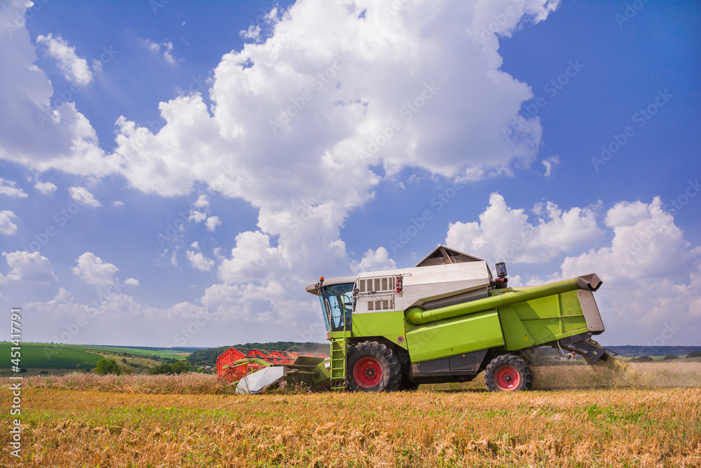 Obraz premium Harvesting. The combine is mowing wheat in the field