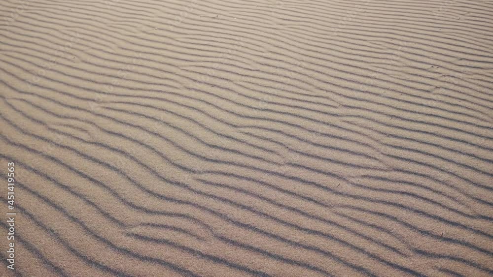 Strong Wind In Desert Makes Waves with Sand Grains. Slowmotion 4K Nature Background Concept Footage Strong Wind In Desert Makes Waves with Sand Grains. Slowmotion 4K Nature Background Concept Footage
