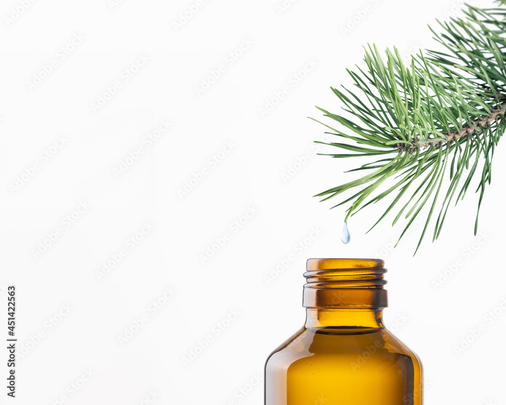 Drop of pine needle essential oil falling from conifer tree branch into bottle. Aromatherapy and essential oil, herbal extract, ingredient for natural cosmetics, alternative medicine concept Drop of pine needle essential oil falling from conifer tree branch into bottle. Aromatherapy and essential oil, herbal extract, ingredient for natural cosmetics, alternative medicine concept