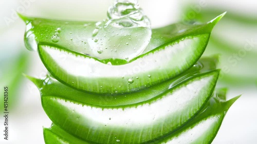 Slices of Fresh Green Aloe Vera Plant Stacked Pieces of Leaves on a White Background And Transparent Extract Gel Flows through the Aloe Ingredients. Aloe Vera Gel Useful Herbal Skin Medicine