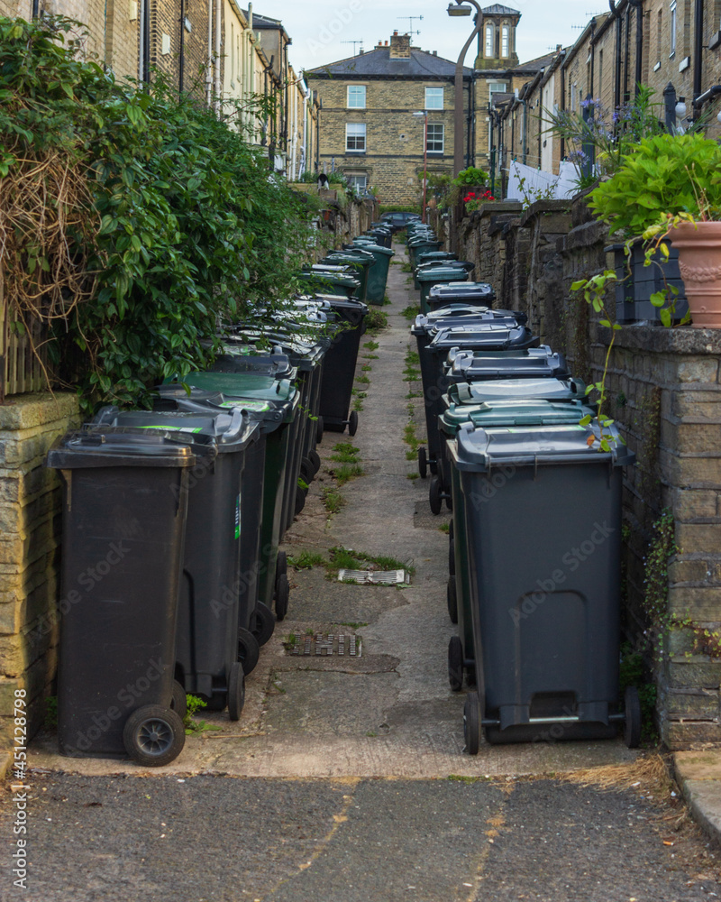 While the introduction of wheelie bins has made the removal of rubbish easier and more efficient they can be an eyesore especially when crowded into an alley While the introduction of wheelie bins has made the removal of rubbish easier and more efficient they can be an eyesore especially when crowded into an alley