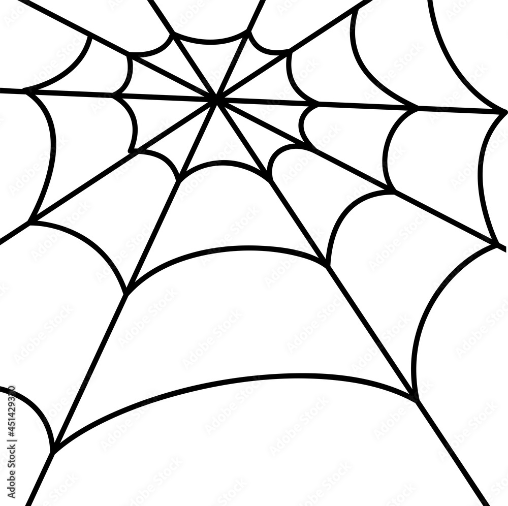 Fototapeta premium Spider web on white background. Simple line vector illustration.