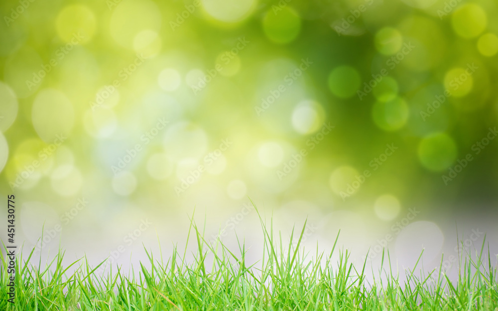 Abstract natural background. Abstract natural background.
