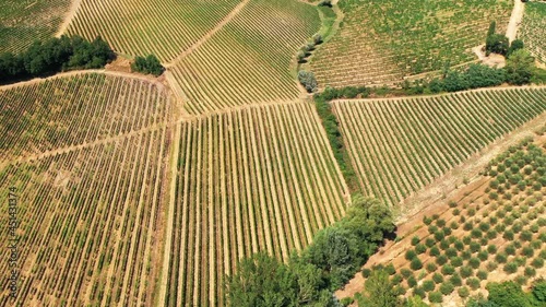 Tuscany countryside shot with drone at summer time, small village in the background. Aerial view of amazing cultivated vineyard fields in hot weather, arid fields,green trees,olive trees  photo