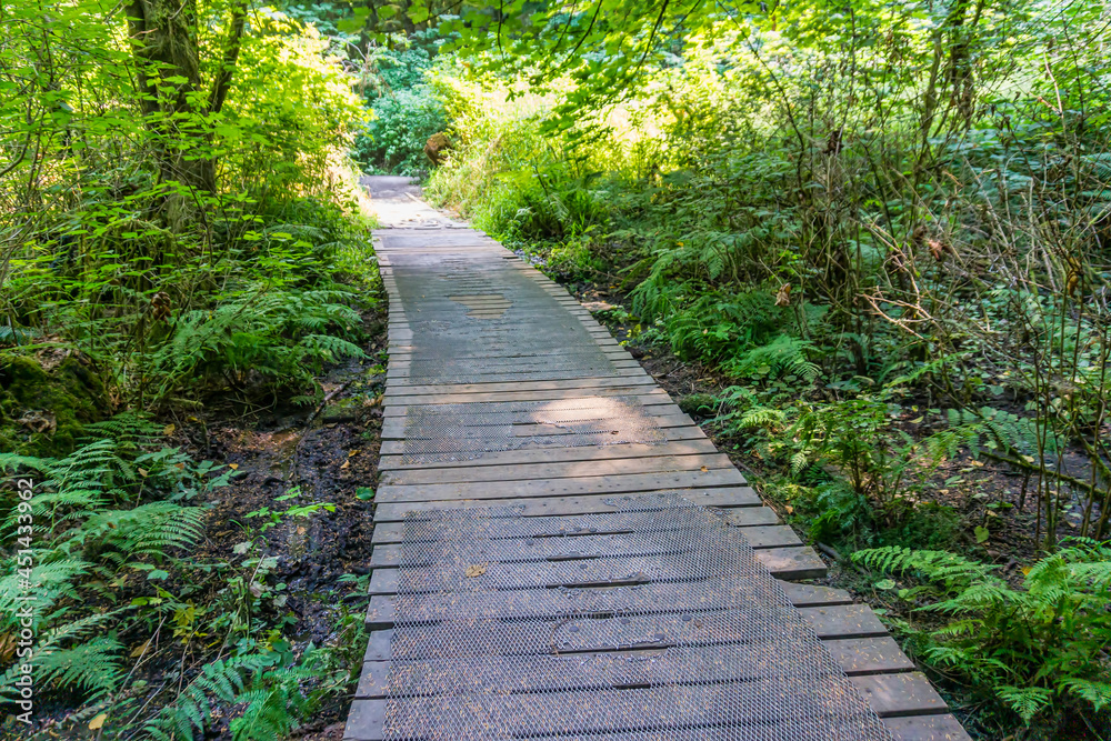 Fototapeta premium Wooden Park Ramp
