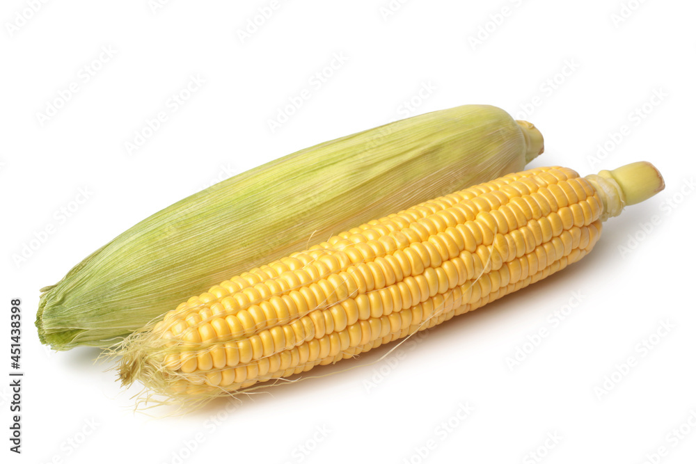 Ripe corn Ripe corn