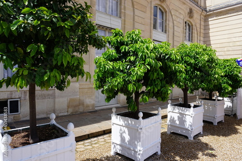 Elysee photo