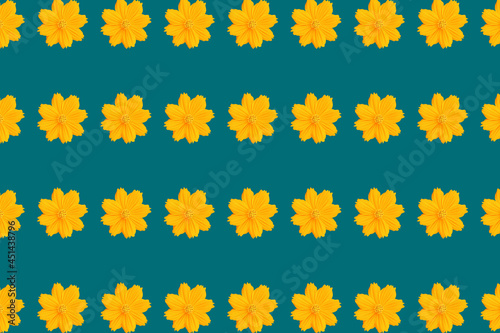 Smooth abstract decorative foliage and floral patterns on a colorful background