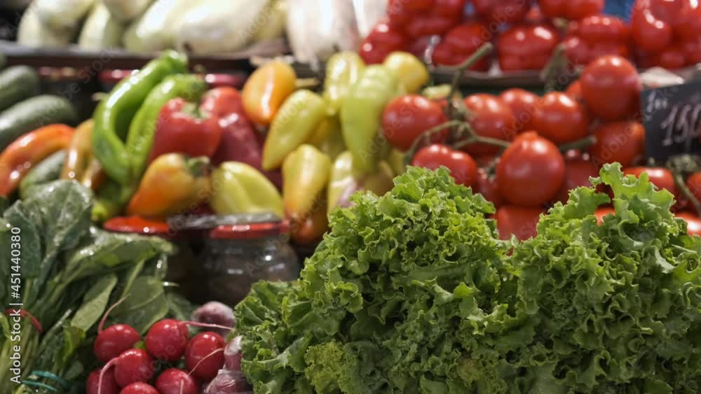 Fresh farm vegetables: tomatoes, bell peppers, cucumbers, basil green onions and parsley Fresh farm vegetables: tomatoes, bell peppers, cucumbers, basil green onions and parsley
