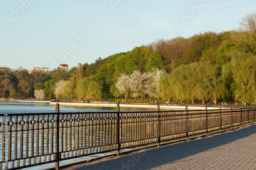 Landscape, recreation place in the park and for walking on the lake and among beautiful vegetation
