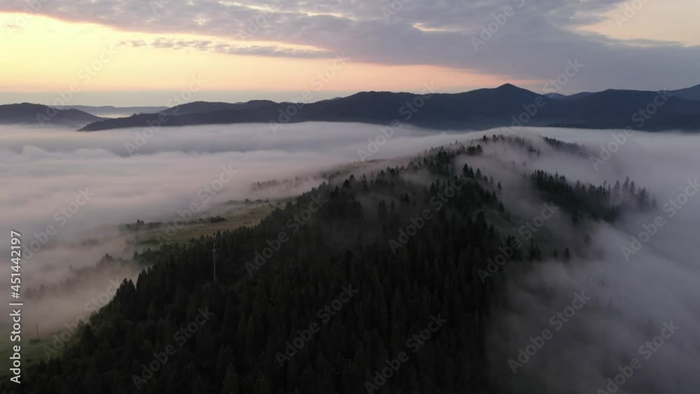 Amazing flowing morning fog in summer mountains Amazing flowing morning fog in summer mountains