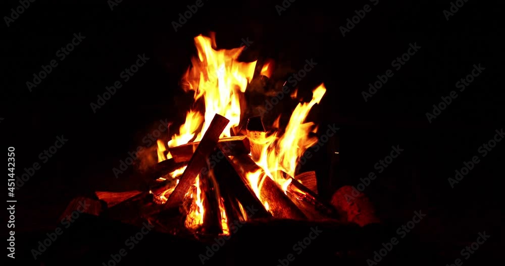 Burning branches in the fire Burning branches in the fire