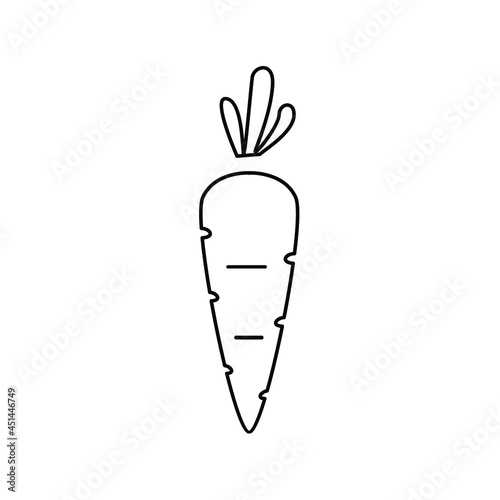 carrot icons symbol vector elements for infographic web