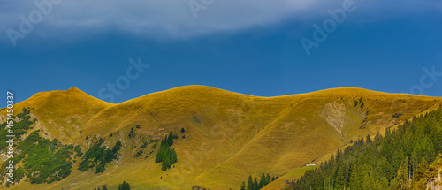 Bergkamm mit Almwiesen im Allgäu